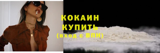 индика Кулебаки