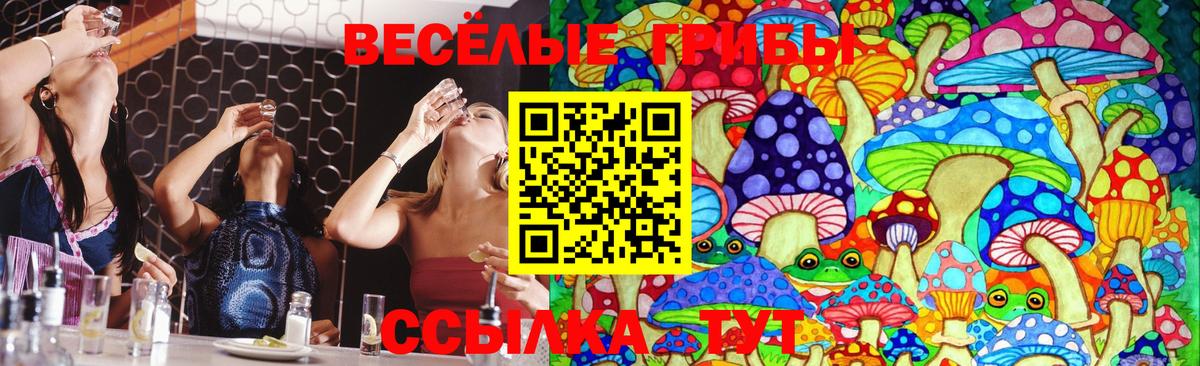 закладка  Псилоцибиновые грибы прущие грибы  Вход с VPN  Галлюциногенные грибы MAGIC MUSHROOMS  Тольятти 